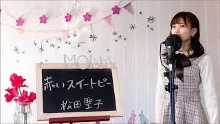 松田聖子 / 赤いスイートピー   cover full