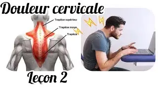 Neck pain. Explained by a physiotherapist