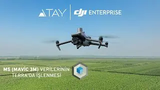Multispektral (Mavic 3M) Verilerinin Terra'da İşlenmesi
