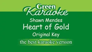 Shawn Mendes - Heart of Gold (Karaoke) Original Key