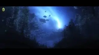 Случай из жизни Умара ибн аль-Хаттаба