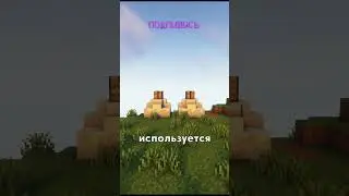 Я РЕАЛЬНО ЗАБЫЛ ПРО ЭТО В МАЙНКРАФТЕ