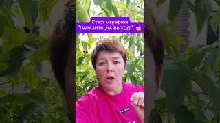 Присоединяйтесь к марафону"Паразиты,на выход"