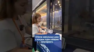 Идея для бизнеса в Дагестане Капсульные  дома для туристов 😎