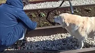 Начинается садово-огородный рэп!