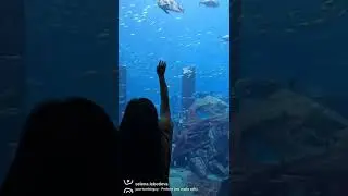 Новые локации из дневника целей💫