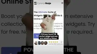Cat memes are the best