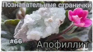 АПОФИЛЛИТ🦋 КАмЕнЬ АнгЕлОв💎☁️ Познавательные странички #66👼🏻