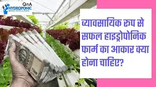व्यावसायिक रूप से सफल हाइड्रोपोनिक फार्म का आकार क्या होना चाहिए?