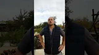 Ранняя остановка??? Волкановскии небыл в нокауте. Махачеву повезло??