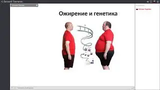 как питание влияет на работу генов