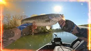 Bolz Lake Grant County Kentucky Landed Nice Largie!