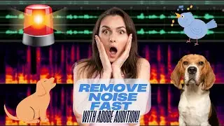 Easy Noise Removal in Adobe Audition | Fast Fix for Hums, Dogs Barking, Bird Chirps and Sirens