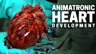 3D Printed Animatronic Heart Development Process