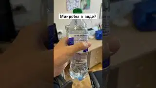 #образование #еда #наука #биология #вода