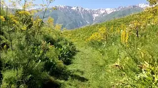 Манзарахои Зебои Кухистони Точикистон🇹🇯) хазина
