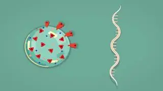 Sinopharm හොදද? නැද්ද? | Covid 19 Vaccine | Sinhala Explanation | Chinese Vaccine