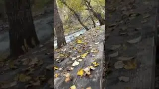 #highlight