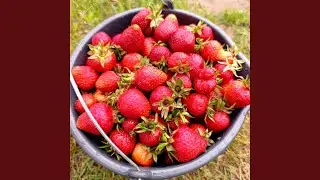 Мой город Гуково
