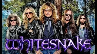 Whitesnake - Live in the still of the night, 2004