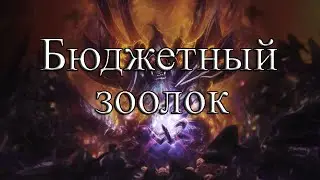 Hearthstone Бюджетный Зоолок