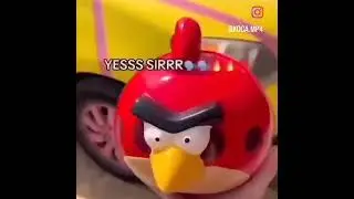 guy throws angry bird at car