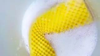 【ASMR】Snake sponge squeezing🐍フリーカットスポンジでスポンジASMR
