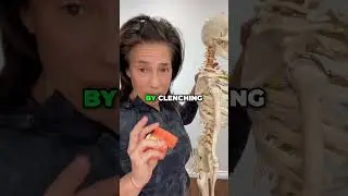 Clenching Teeth  How It Affects Your Jaw, TMJ, and Posture