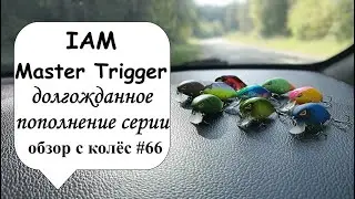 IAM Master Trigger - долгожданное обновление серии (обзор с колес #66)
