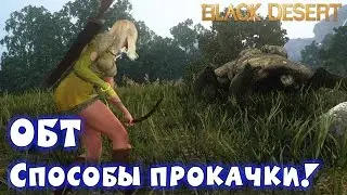 Metalrus - Black Desert Online. РуОБТ. Способы прокачки! (Плюсы гринда)