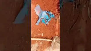 #dua #allah #islamic #islam #islamicstatus #রমজান #দোয়া #shortvideo #short #viral #tending #shorts
