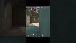 Gotta Guarantee The Ace 