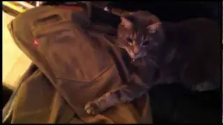 I Just Want My Pants Back