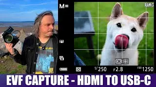 Budget-Friendly EVF Recording: Capture Your Camera's Viewfinder with a Smartphone