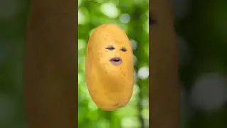 potato and tomato ka funny song 🤣🤣#funny #viral #shorts