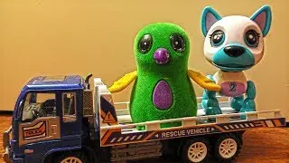 Cute Animal Toys Playing After Being Transported by Truck