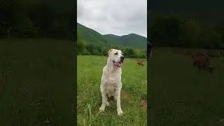 21 мај 2024
