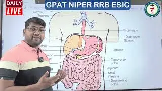 Digestive System Short#MrAudumbarShinde #druginspector2025 #gpat2026 #apagpatacademy #viralvideos