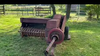 NEW HOLLAND 65 & MY PALOMINO HORSE