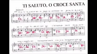 Ti saluto o croce, santa, che portasti il redentor