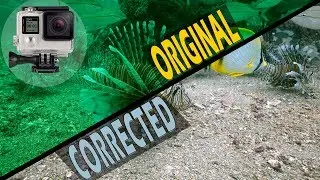 How to Color Correct Green Underwater GoPro Video