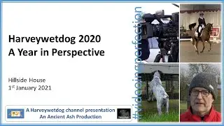 Harveywetdog - 2020 a year in perspective