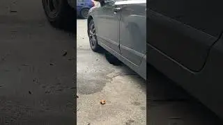 Кіт імітує vtec sound