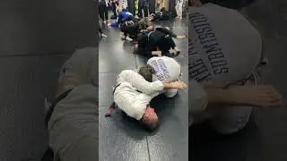 Не упускаю возможности роллить с черными поясами 