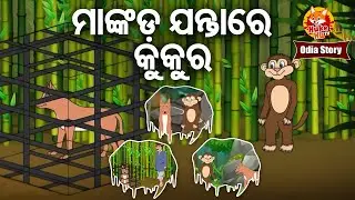 MANKADA JANTARE KUKURA - ମାଙ୍କଡ଼ ଯନ୍ତାରେ କୁକୁର | Odia Moral Story | ଓଡ଼ିଆ କାର୍ଟୁନ ଗପ |  Huke Hu TV