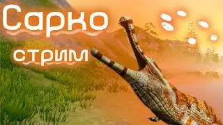 Сарко стрим начало в 12:00 по МСК