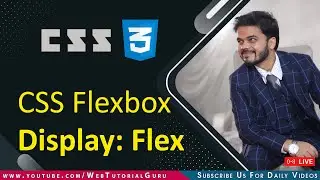 🔴 20. CSS Display flex property in CSS | HTML CSS Flex Class Hindi | #html #htmlcss #htmlcsswebinar