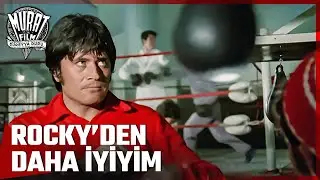 Rocky Karşımda Diz Çöker | Hayatımızın En Güzel Yılları