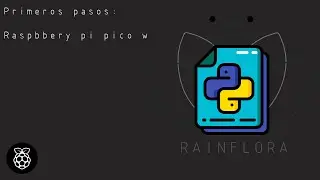 🐍 Primeros pasos Raspberry Pi Pico W, Instalación, Configuración con Thonny. (Parte 1- app Python )