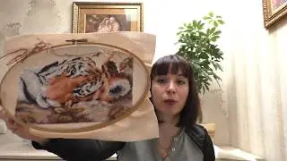 Текущие процессы в ноябре 2017!